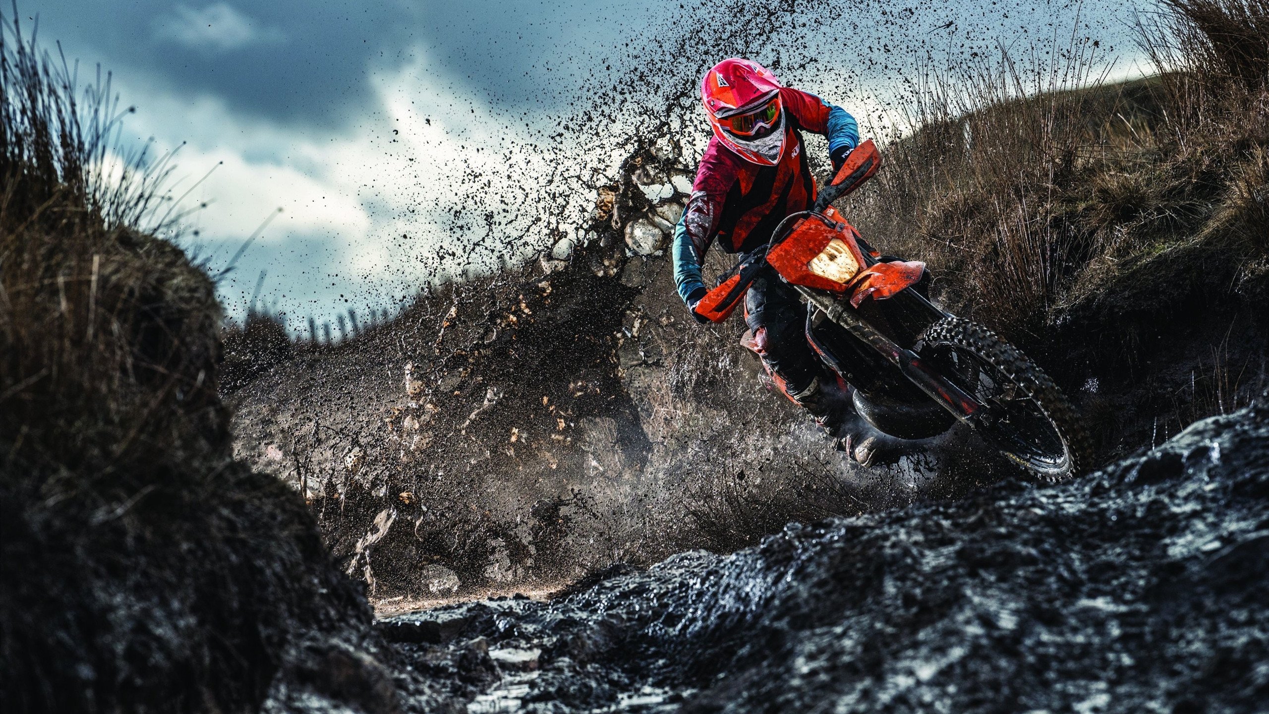 快船淘汰骑士,小贾伦关键回合不手软,定义巨星与赢家的分野