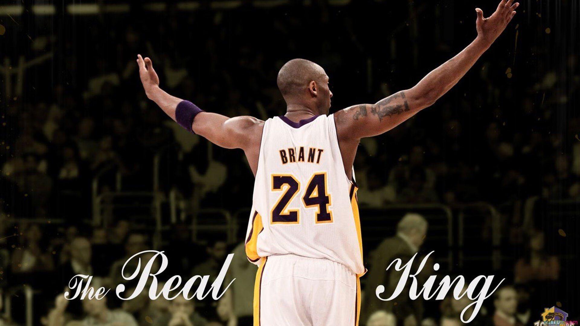 浓眉冠军级表现撕裂防线，火箭战术体系彻底压制上海队